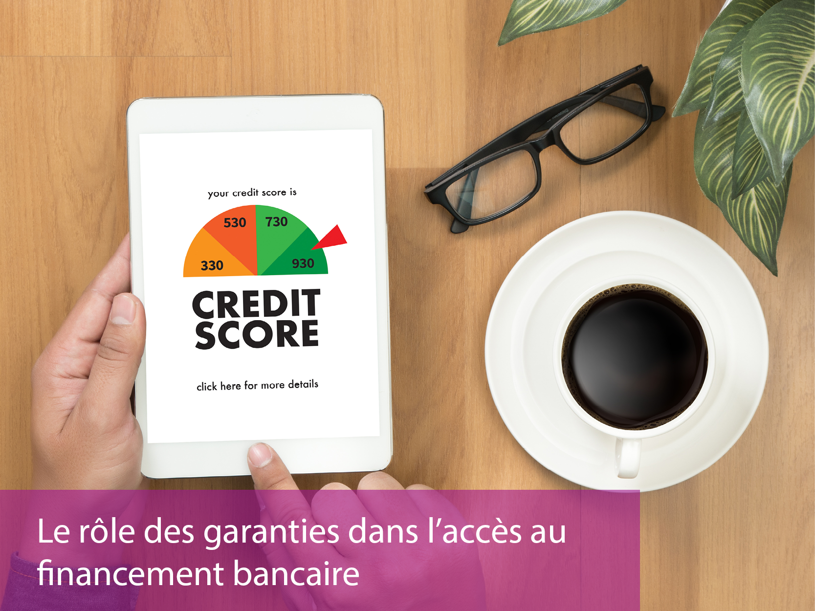 Role-garanties-bancaires_fushia