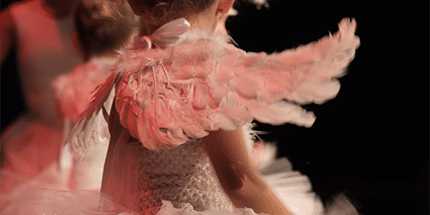 Ballet-2-anspm