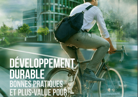 Développement durable Entreprise